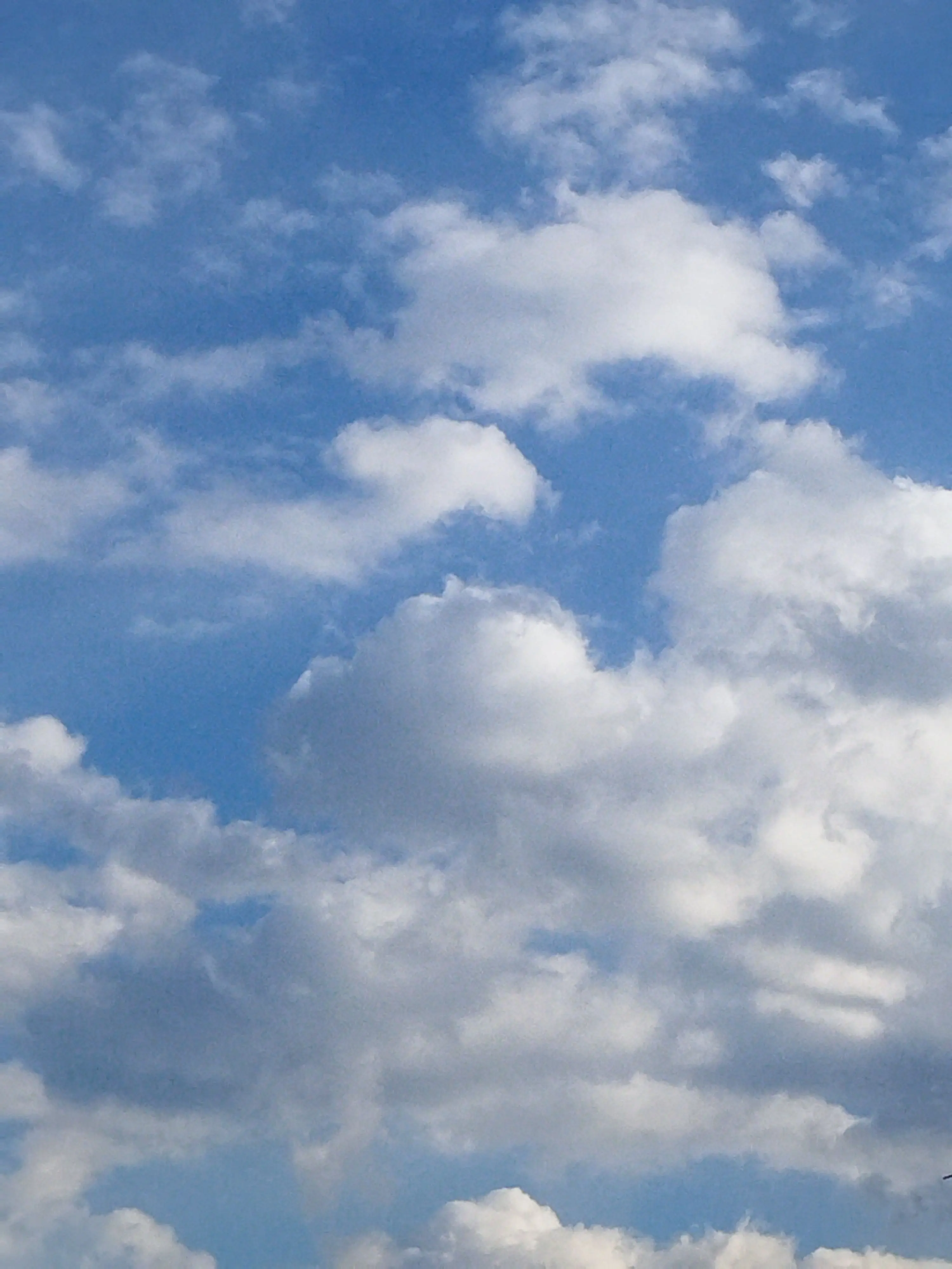 Rin_irasuto의 なんかヤンデレ悪魔に捕まったんだが？