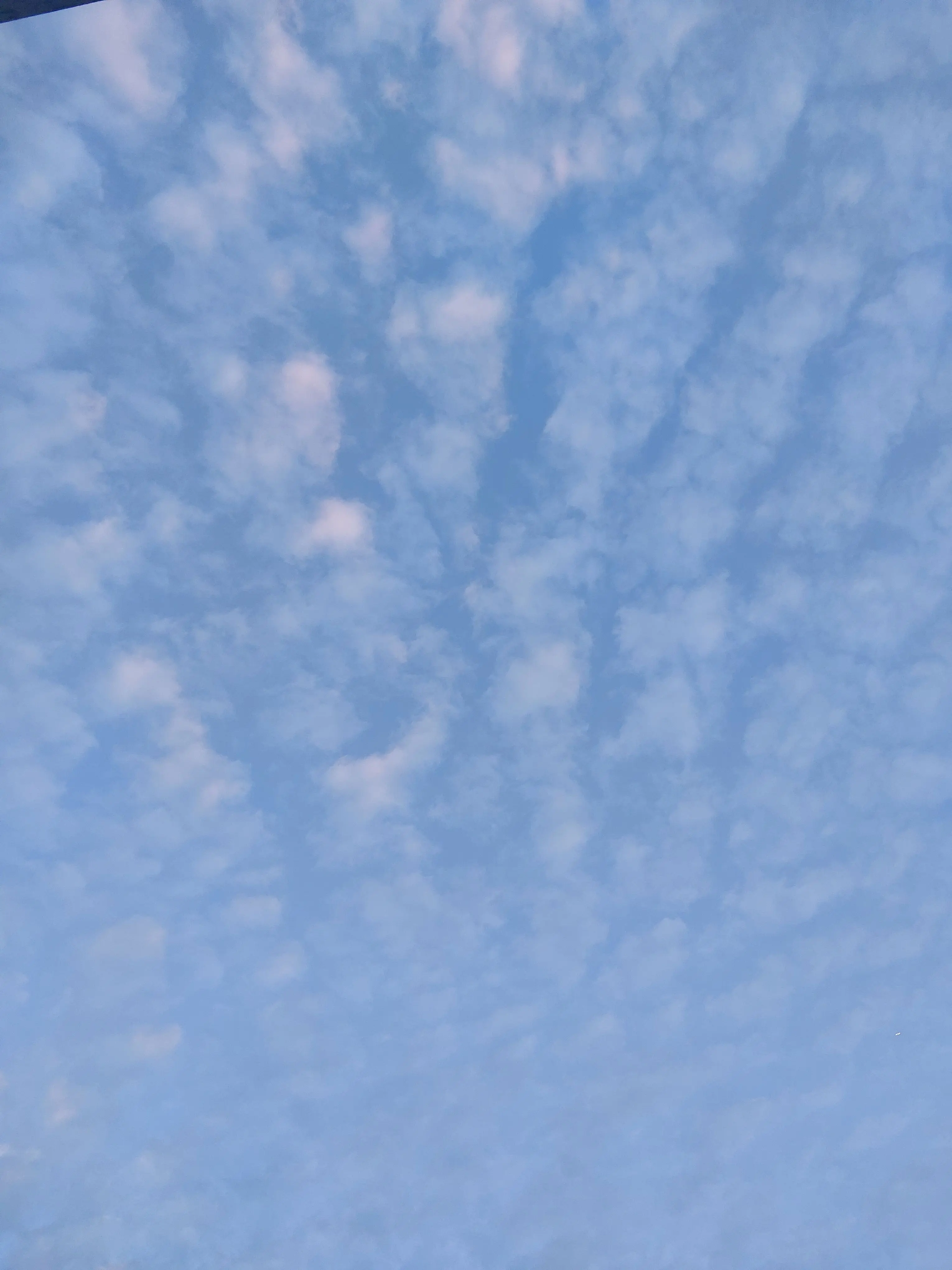 chdjzjbx의 팀나빠에게 쓰담질 받아보자!