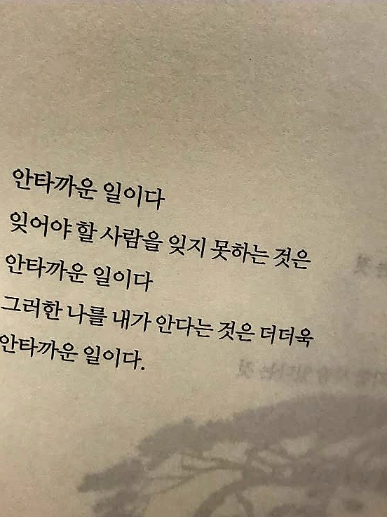 回歸 대표 이미지
