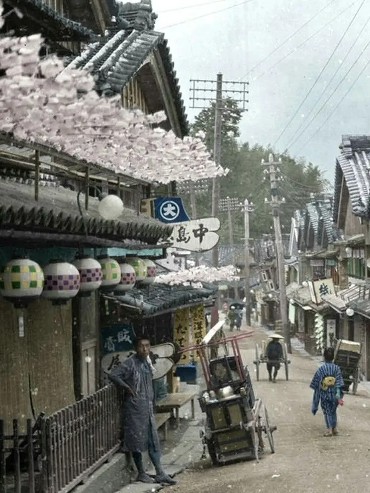 Youopen의 Surviving the Edo Period