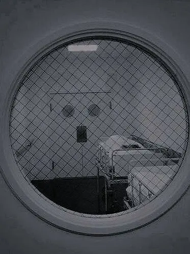 WryWoman1238의 정신병원,당신의 병실 안.