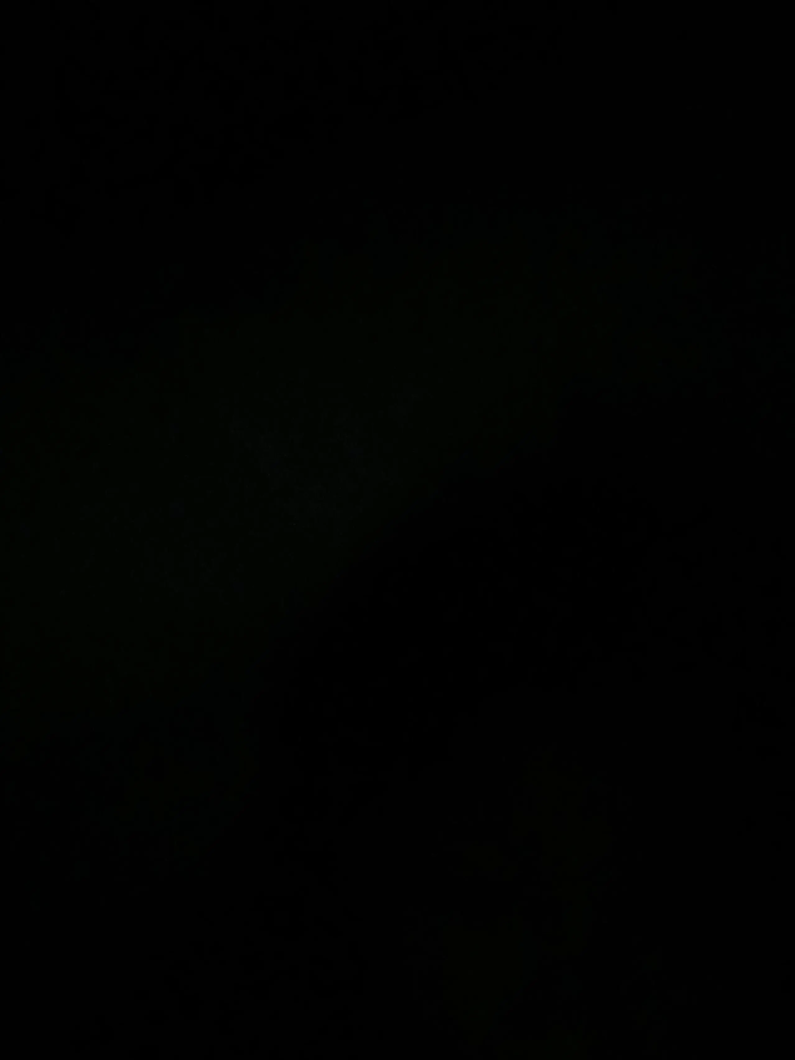 2009.02.14의 엄성현
