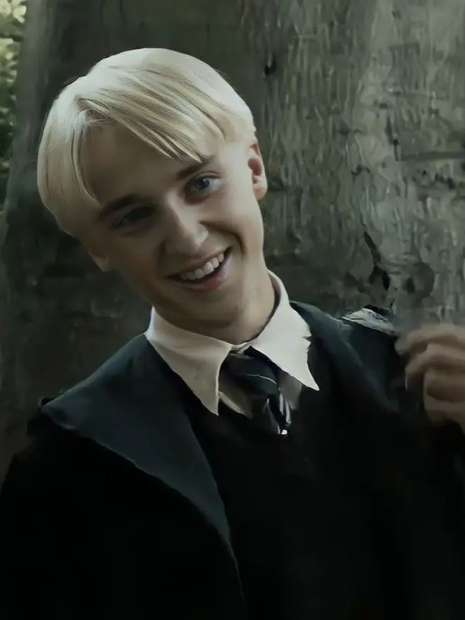 RottenBass9658의 Draco's younger sister