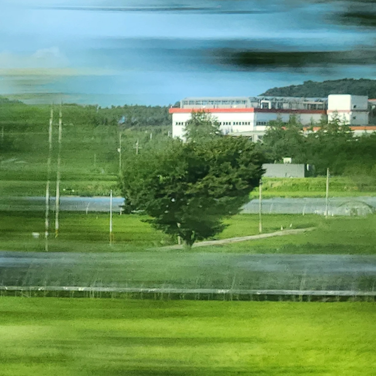 이새롬