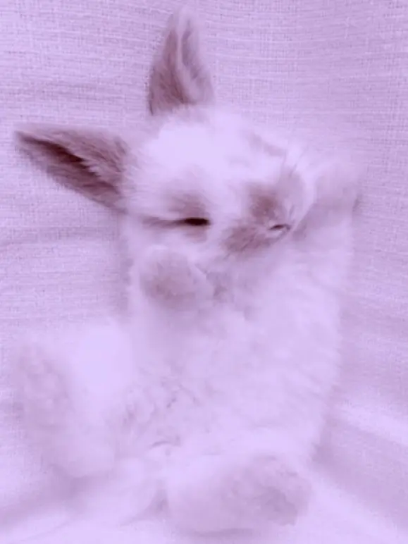 hangsing.cookie의 1992년 [각별 & 수현]