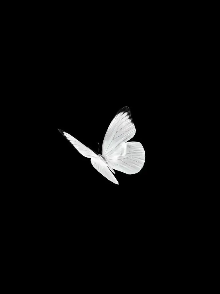 0.4I5의 ✷