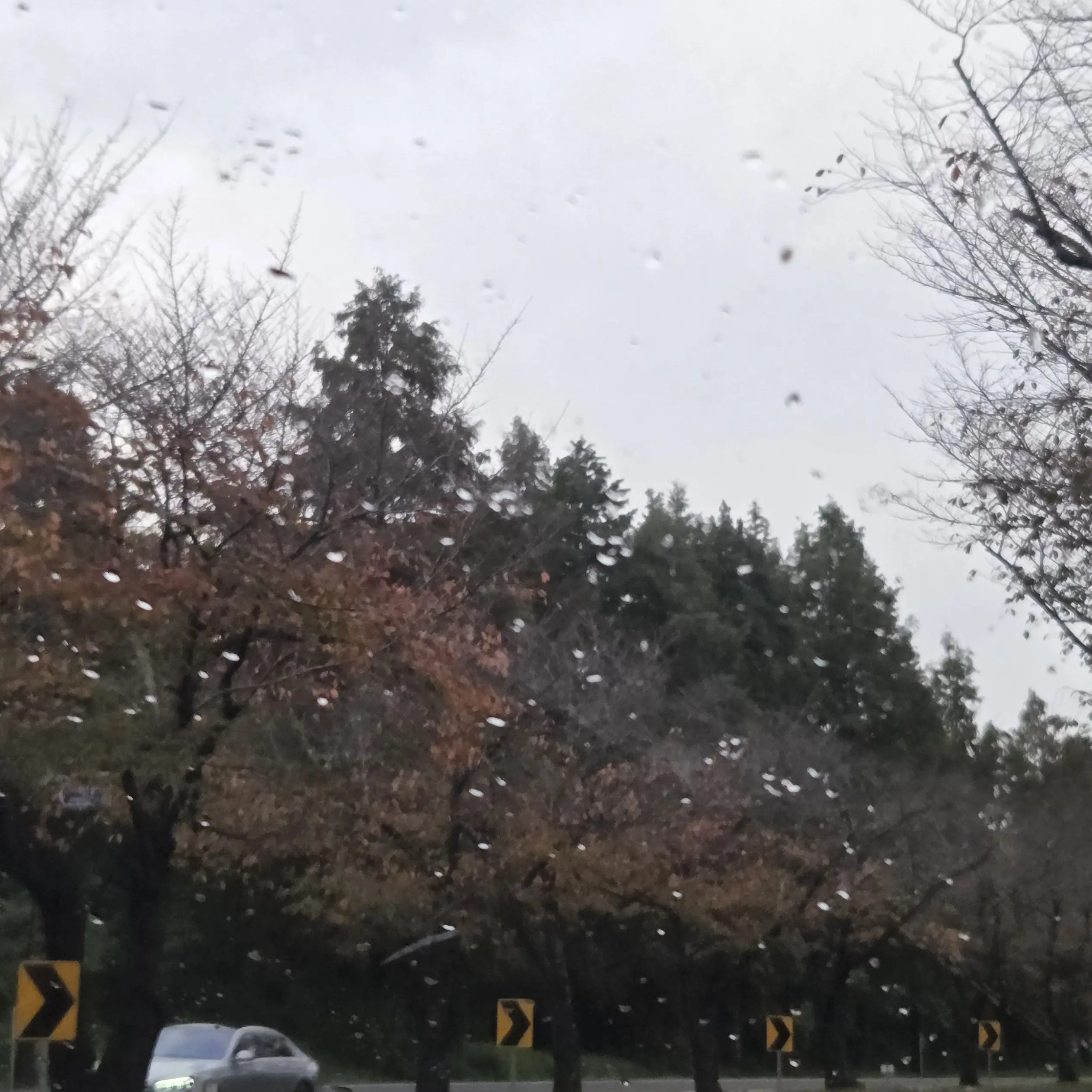 DaftlyStep1571의 신경써줘!