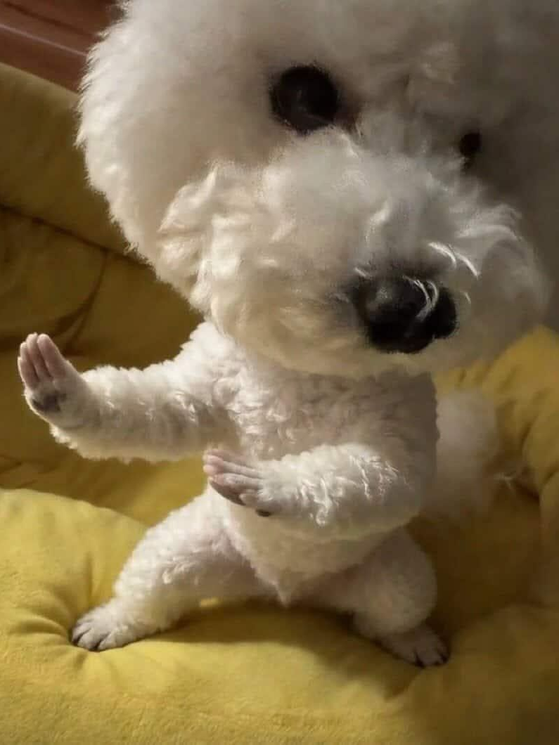 skrr🤟 대표 이미지