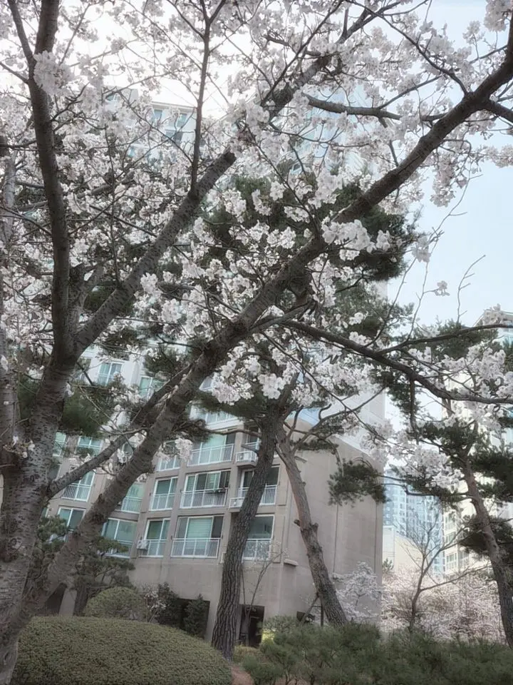 plave0708_unit의 [얘 지짜 뭐지]