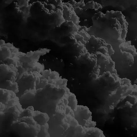 rmwjdlfqksdlsdlfQns의 우융님이랑 합방하기!