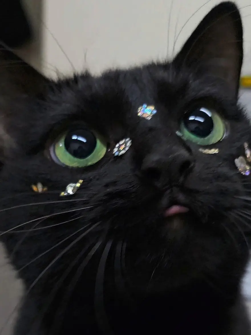 meow__22의 ツンデレ彼氏の裏の顔