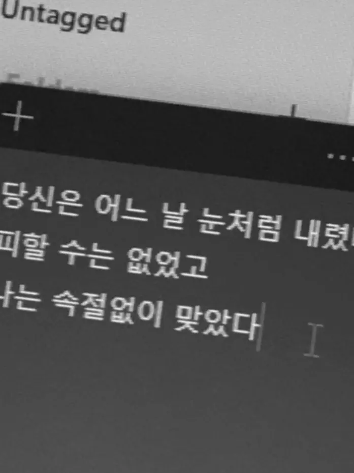 brownweasel의 처음으로 사람이 빛나보이더라