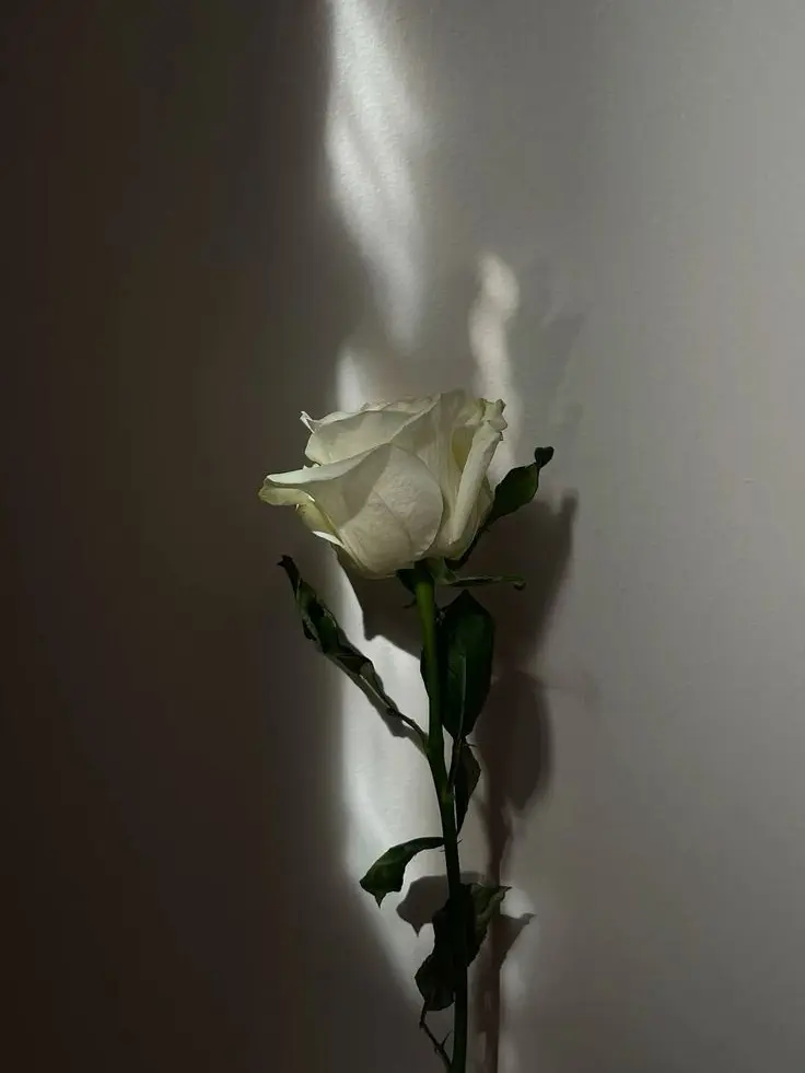 dpxnp의 <사건파일: 모방>