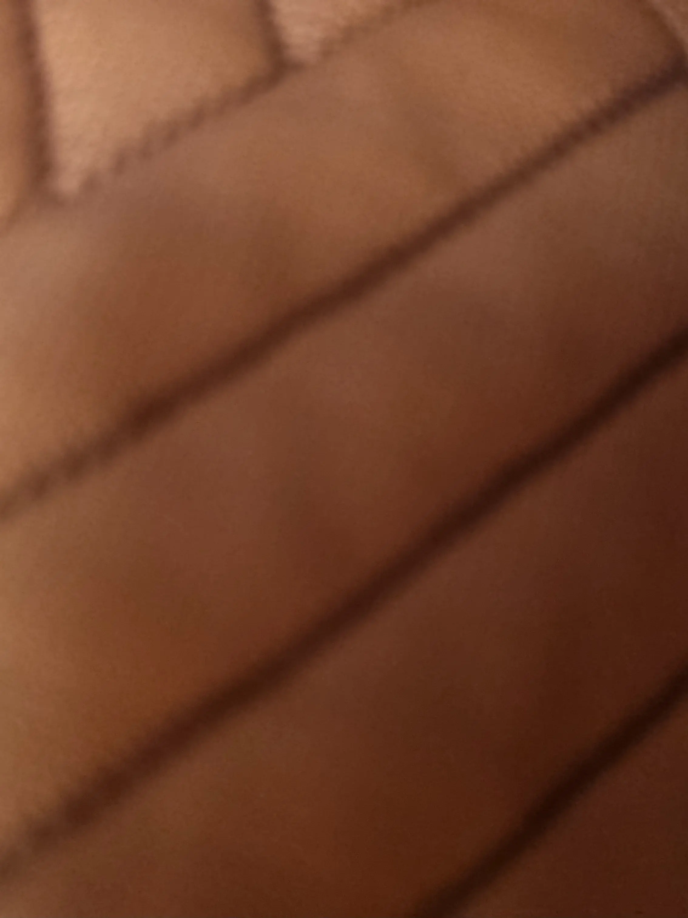 GustyTrump9947의 루이쨘