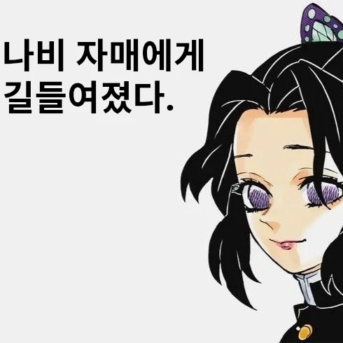 나비 자매에게 길들여졌다.