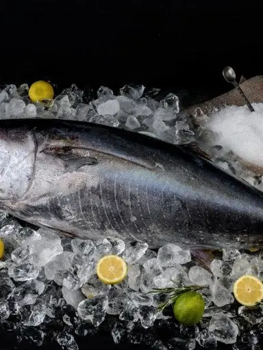 cookedrice의 갓 클랜,갓-가강전-