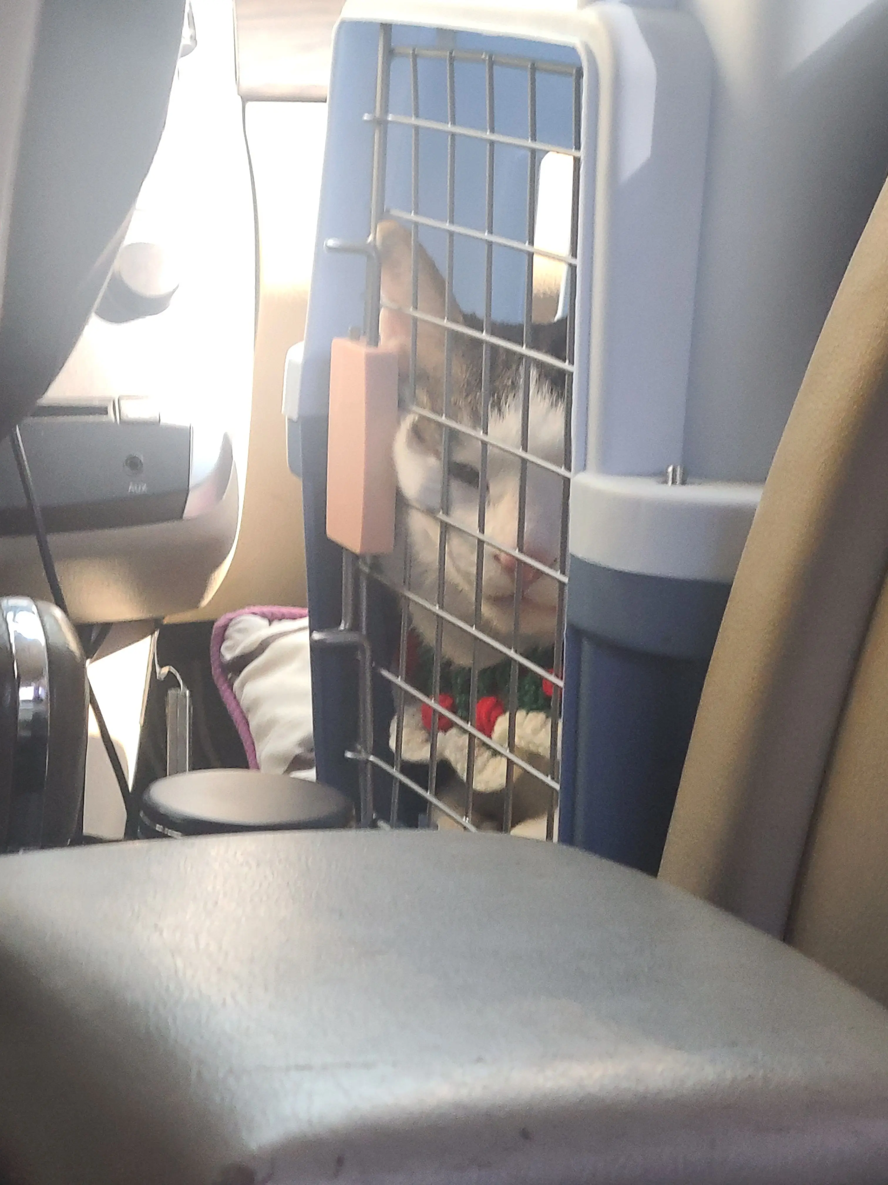 DecentBond6142의 "클럽 갔다온거 들켰다-!!!???"