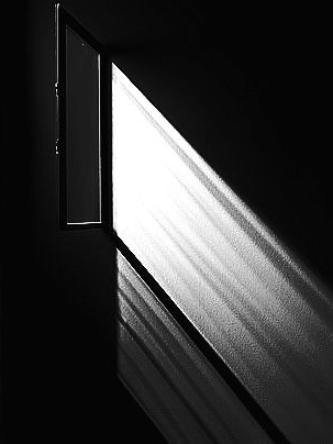 IMAWANOKIWA 대표 이미지