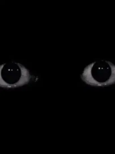 Monsterinthecloset의 Creature in your closet