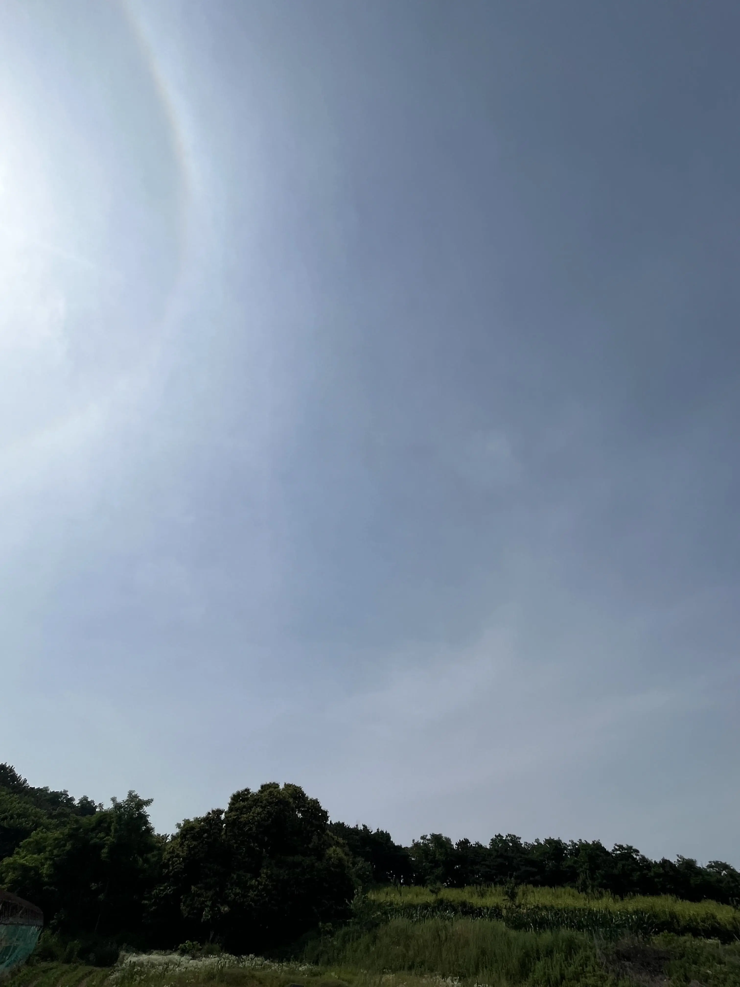 Ysxxxxoilk의 자각몽