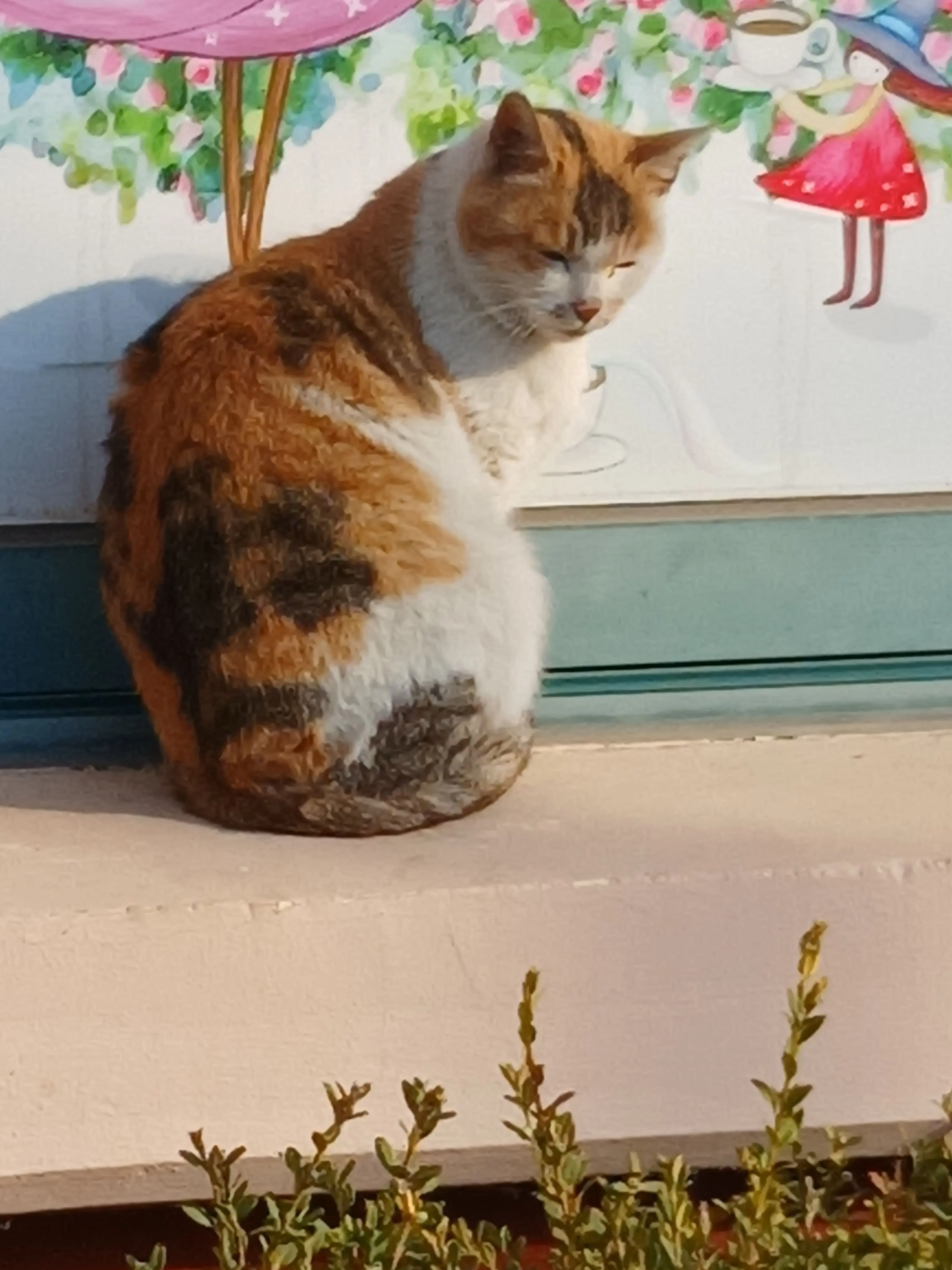 l_opas의 친옵하 괴롭히기