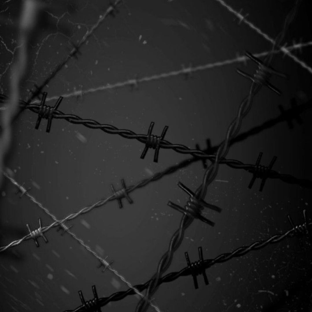《붉은 그들의 집착》 대표 이미지