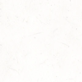 이지후,이지우