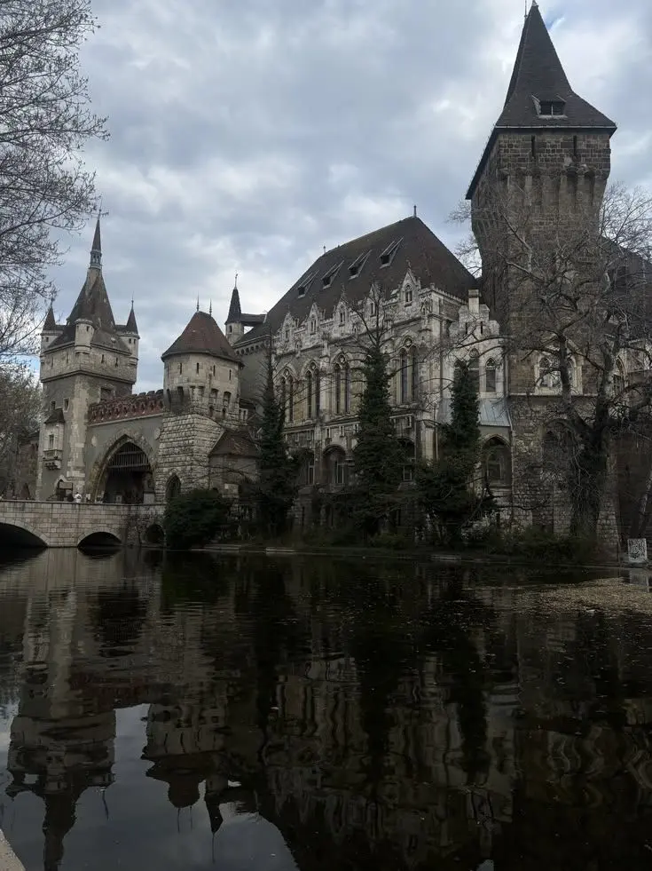 VastAnts1124의 hogwarts high school with pick me boy