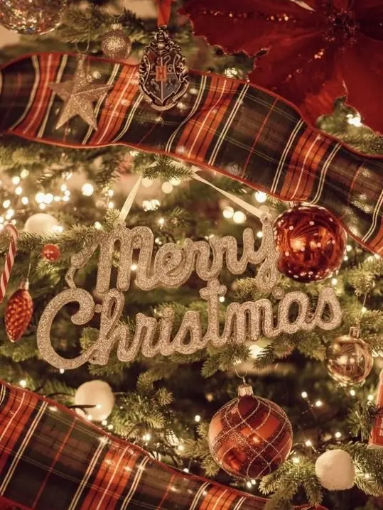 chiikawaing의 ‘너랑 보내는 크리스마스🎄‘
