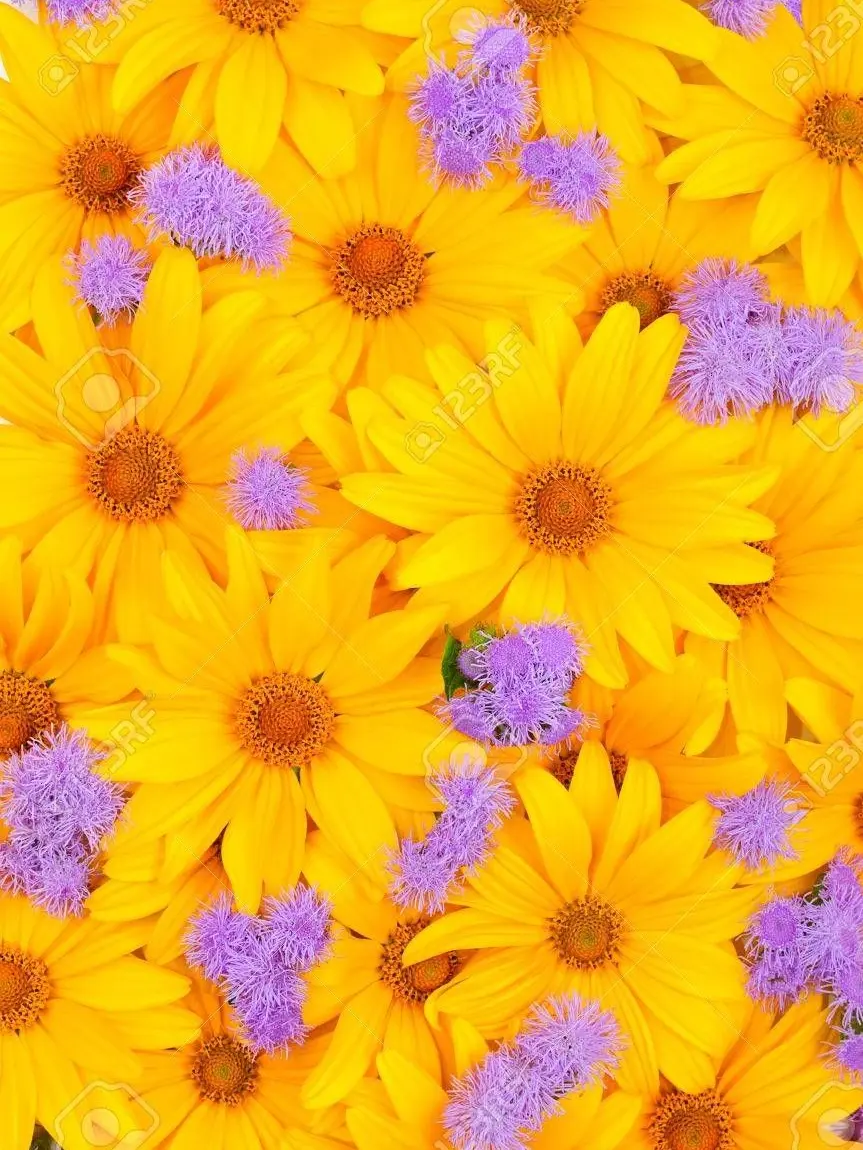 Sakana_cat.28326의 こんな僕でも愛して