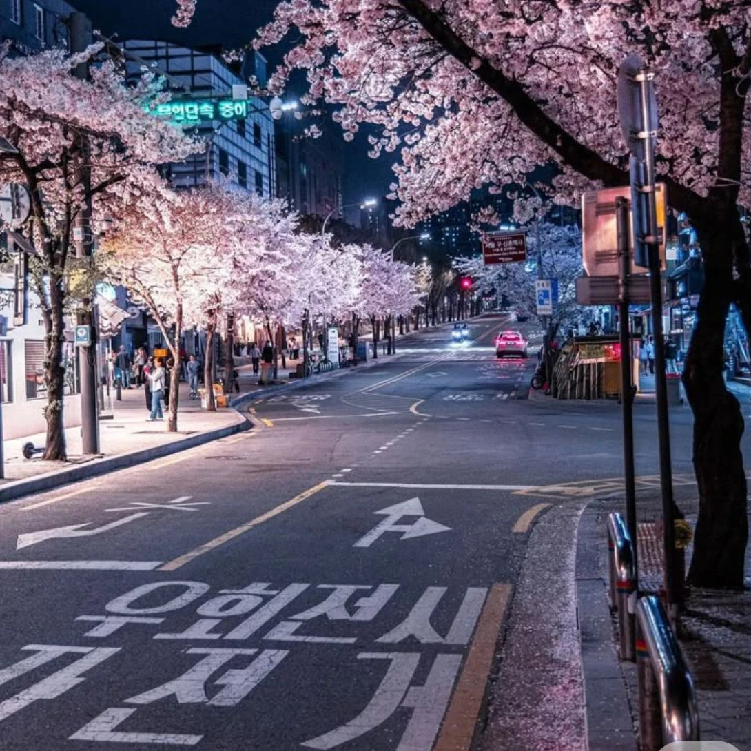 그냥요, 봄 같잖아요