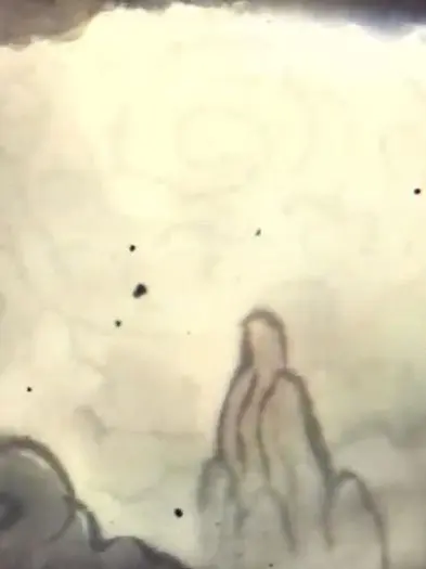 Kira_xta_72의 뇌신무장 쿠키 되어보기