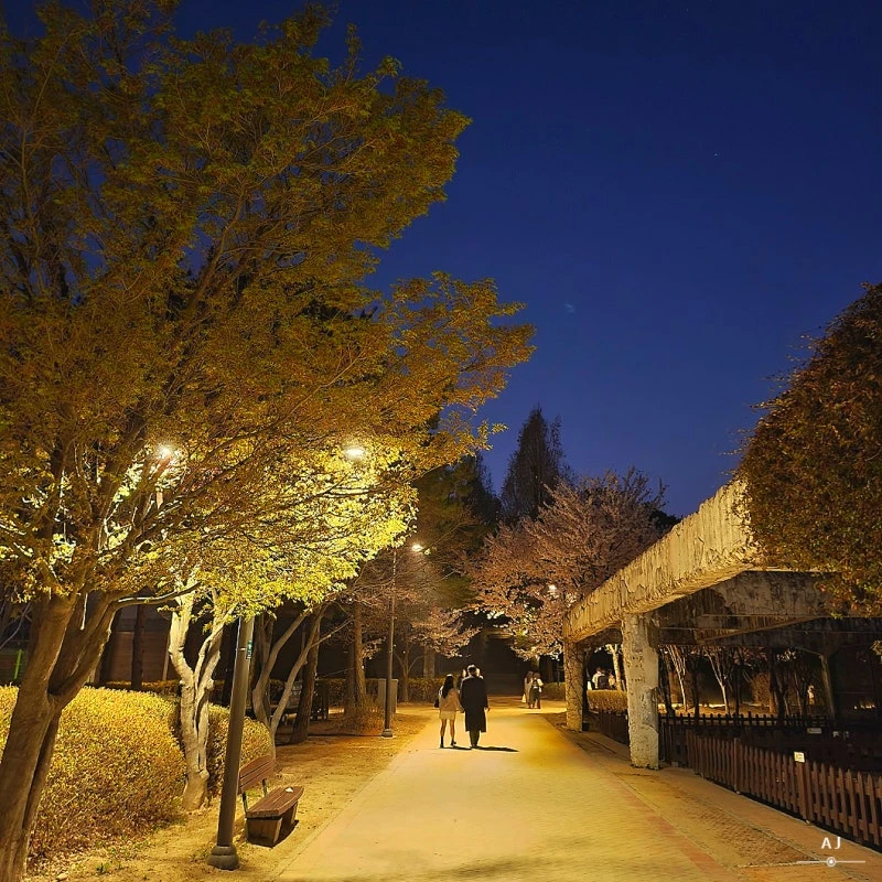 아픈 아이돌-《귀멸의 칼날 주들》