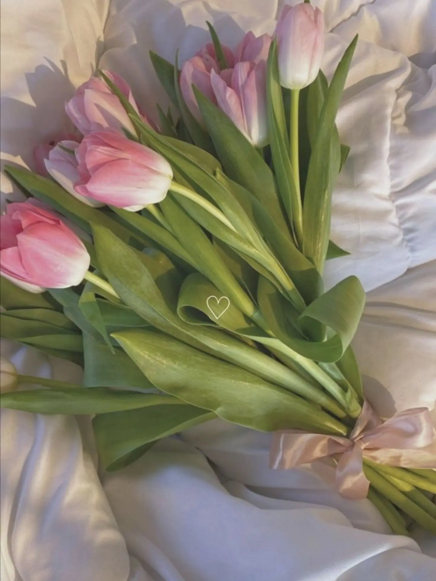 NoisyWolf9978의 {픽셀리&패러다이스} - [매이드복]