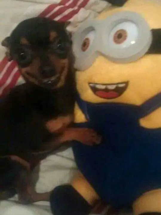 Darlene8113의 Pharaoh