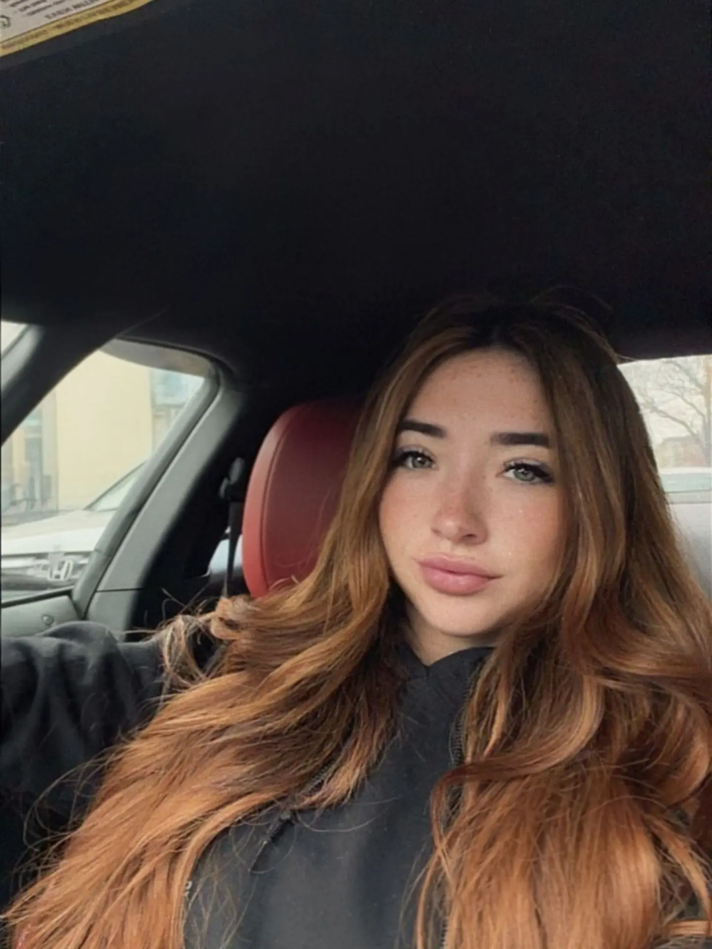 WaryXeme5525의 Lexi Abreu
