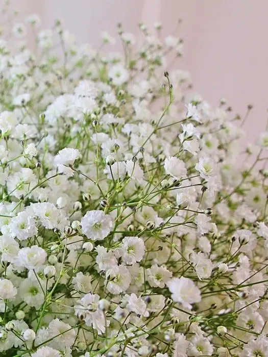 Silver_Bead의 「  消えないエラー。」