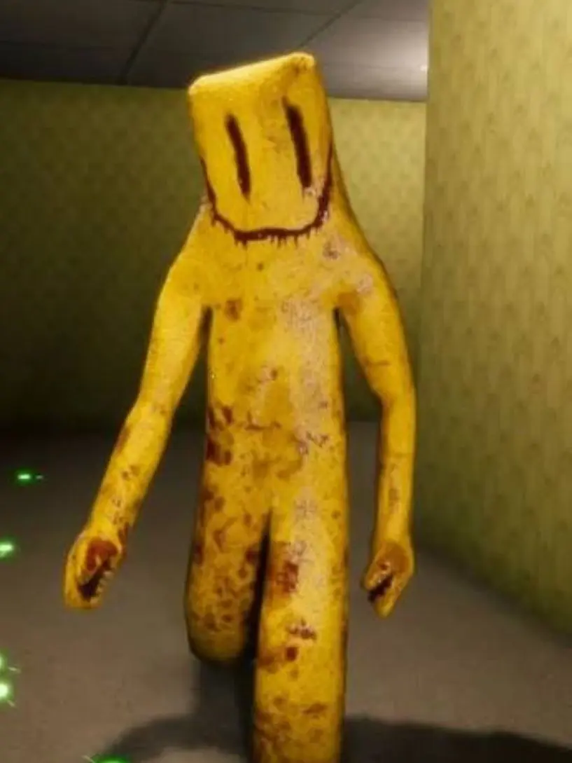 rlawlsdn9363의 백룸 엔티티의 채팅방