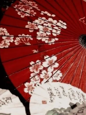 FestalTank4262의 重症