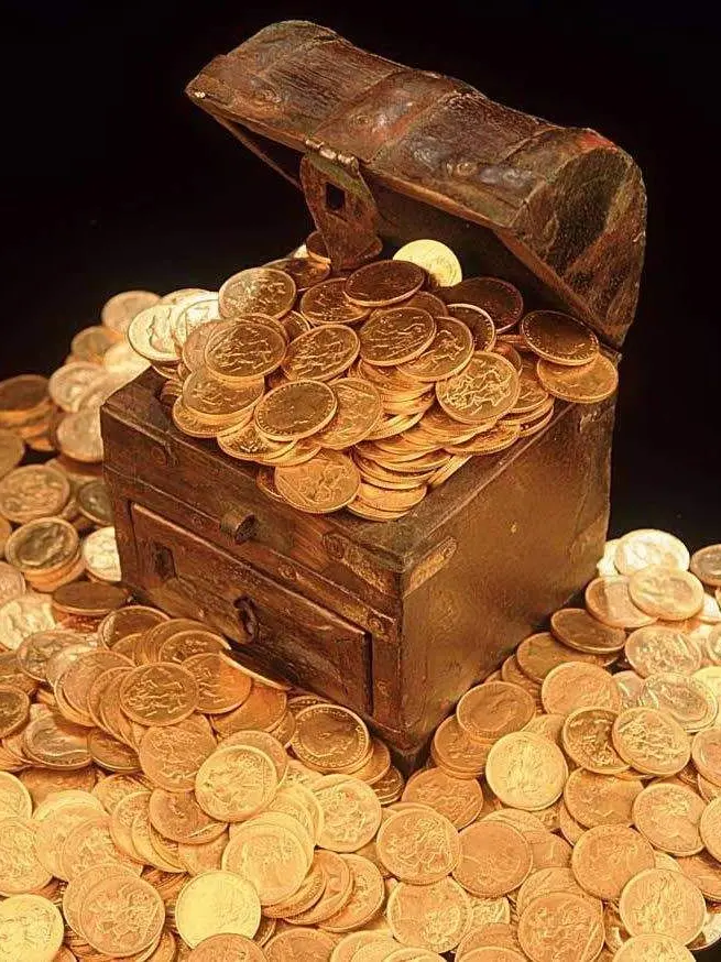 sersrata10042의 배틀짱 국가기밀요원