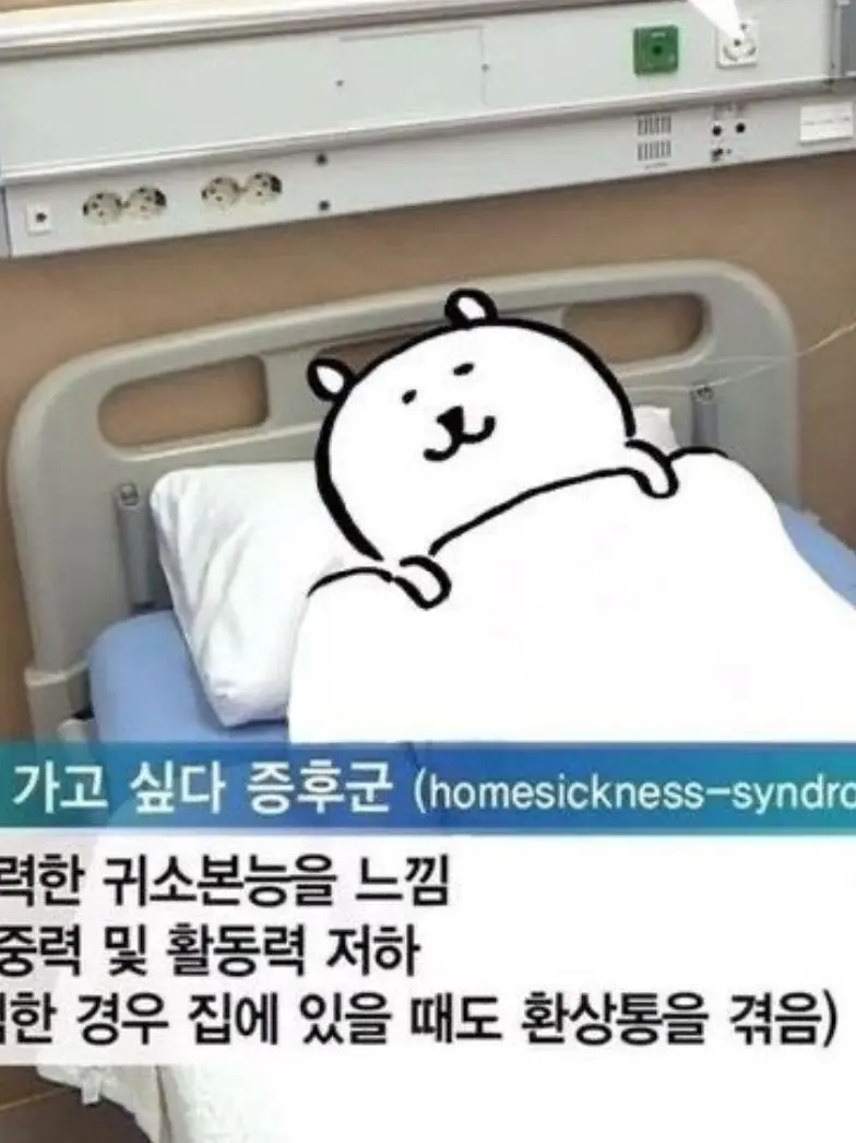 RedCrest1365의 사랑 전문 상담