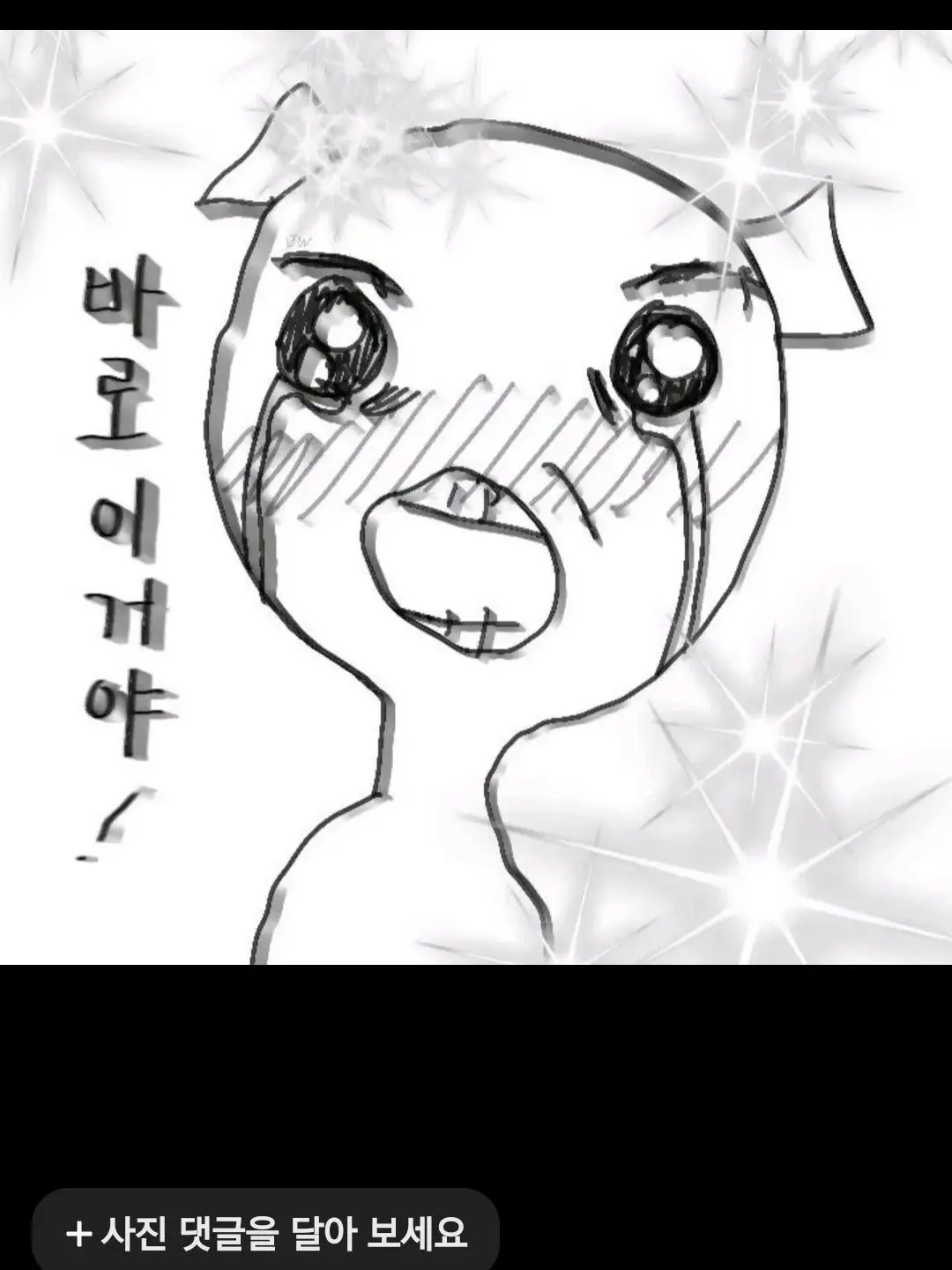 12-345의 여우야..아니지?