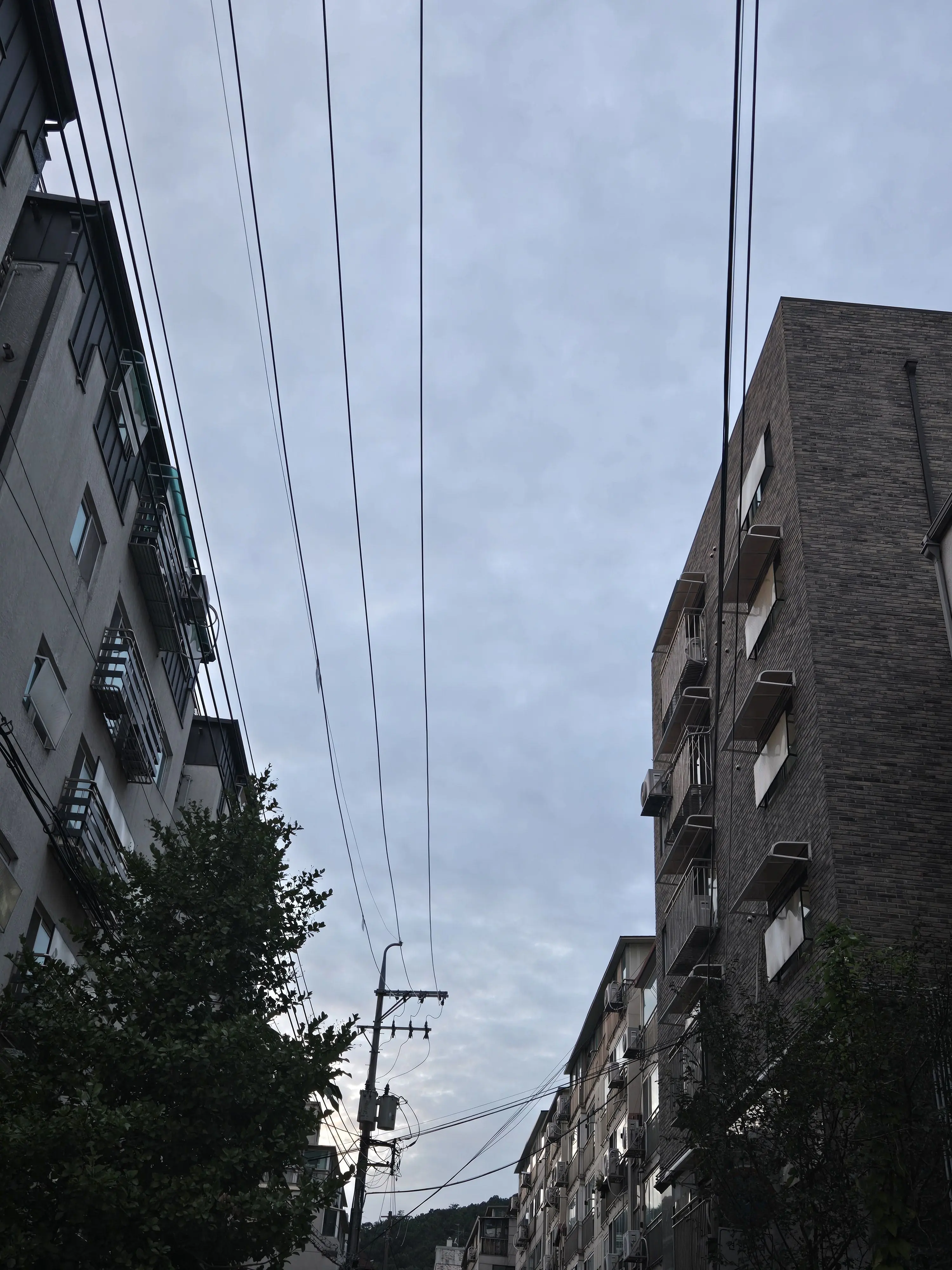 SnugTrunk4058의 I'll Catch You This Time