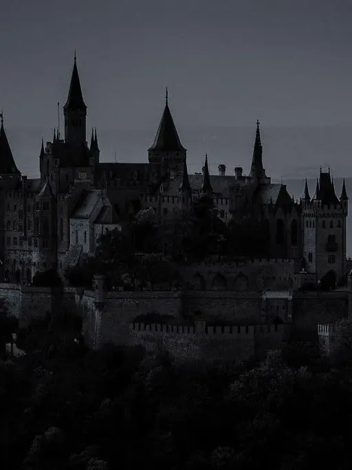 StarkFox8502의 To court the crown