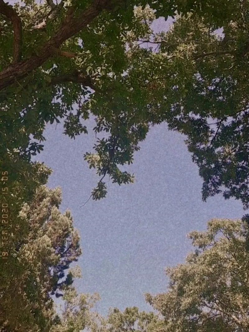 IAN_.의 미스터리 수사반