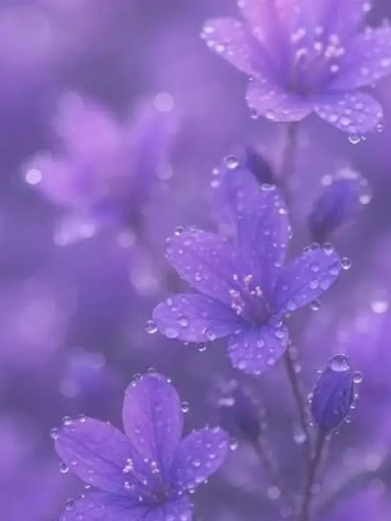 kaibutu4의 最大の愛を