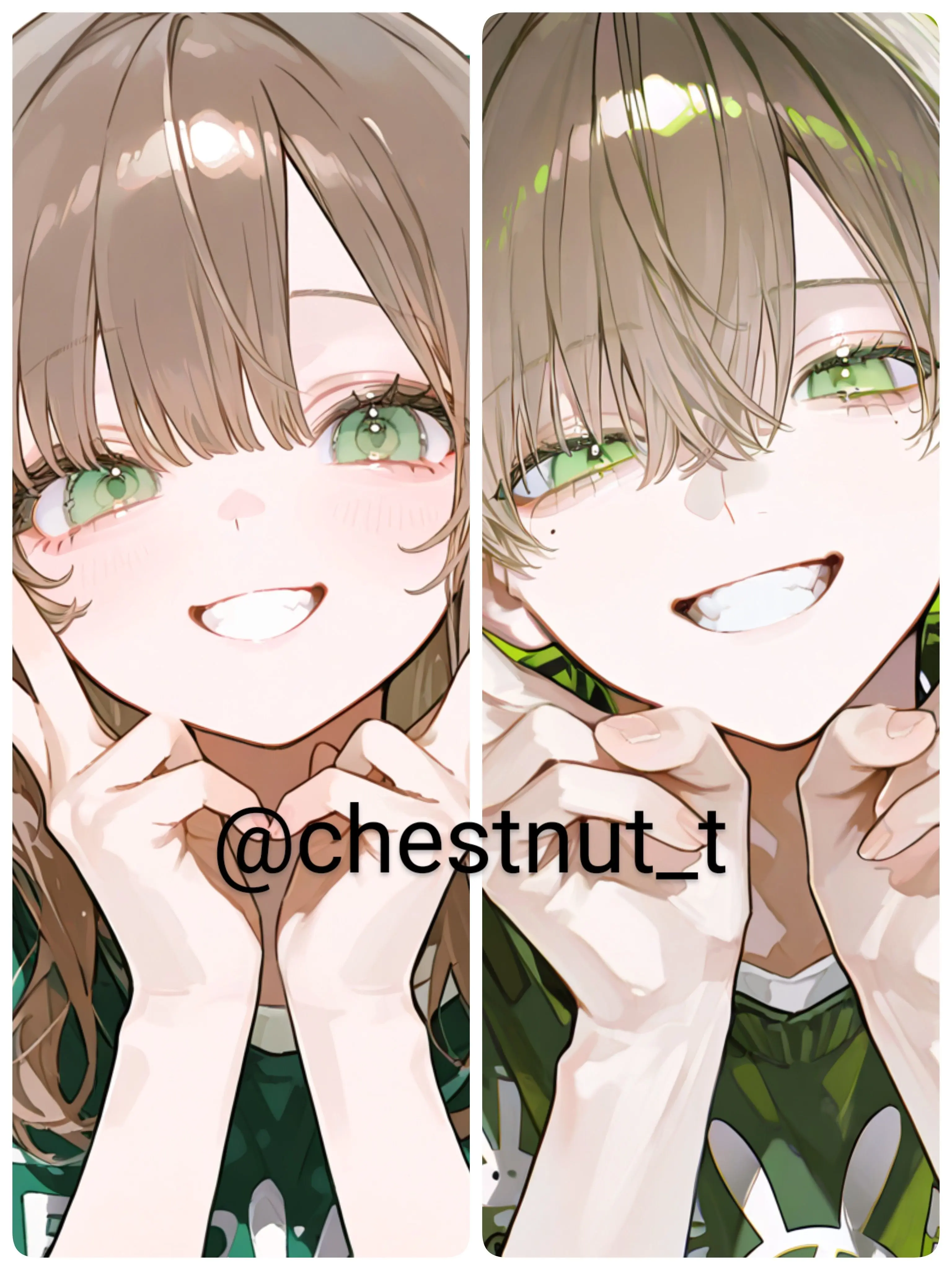 chestnut_t의 双子じゃない、その先で