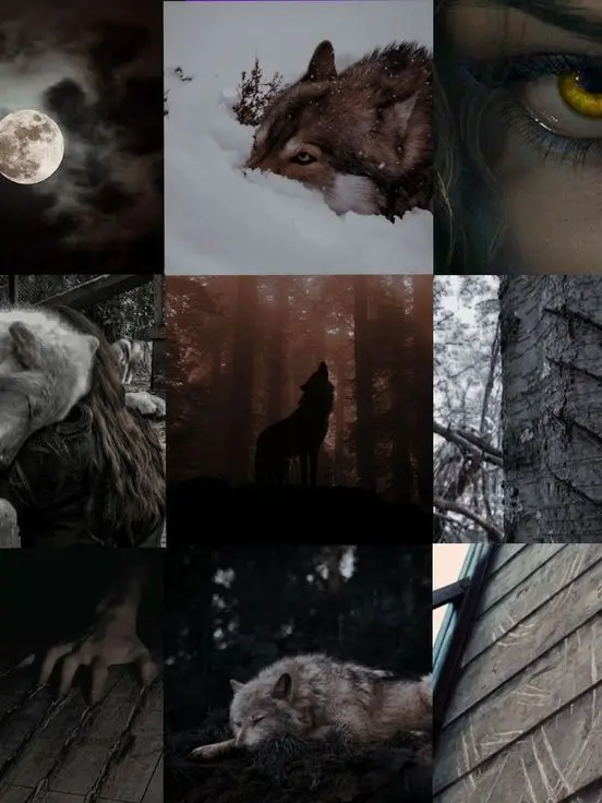 LooseWeek8257의 A werewolf child