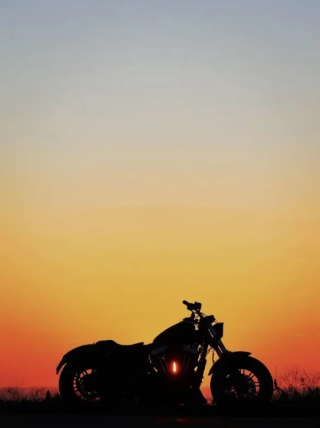 HazyStoat6668의 GTO
