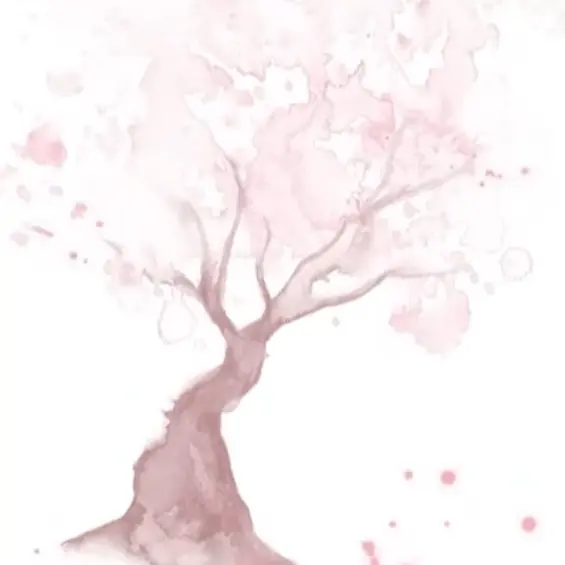 conchsleep의 리레볼루션, 차 한잔.